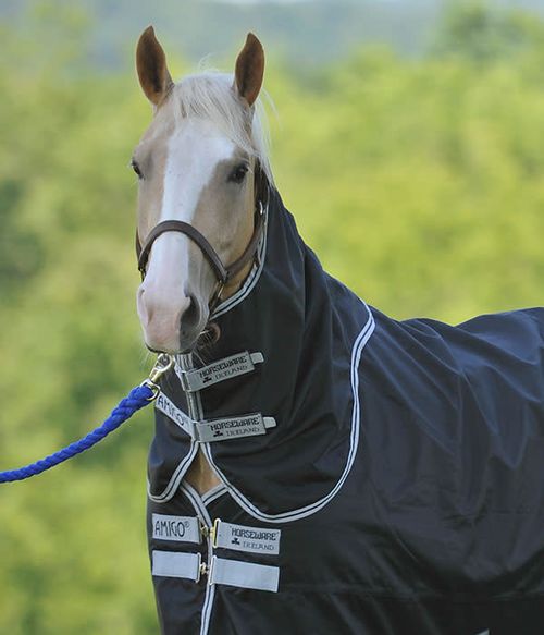 OPENBOX: Amigo Stock Horse Hood 0g - Small - Black/Silver