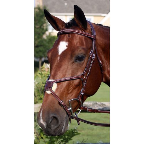BARGAIN BARN: Nunn Finer Milano Bridle - Cob - Havana