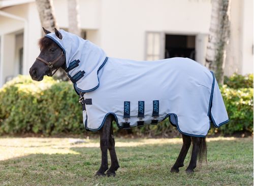 Amigo Ripstop Petite Hoody - Azure Blue/Navy/Electric Blue