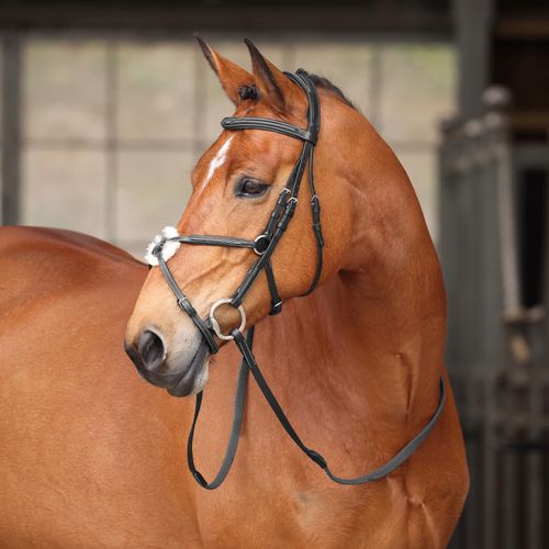 Shires Avignon Woodside Bridle - Black