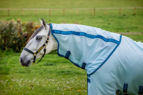 Amigo Bug Buster Hood - Azure Blue/Navy/Electric Blue