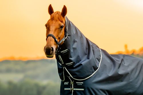 Amigo Ripstop 900D Turnout Hood 150g - Witney Navy