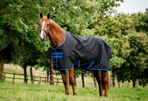 Amigo Ripstop 900 Fleece Lined Original 50g - Black/Classic Blue