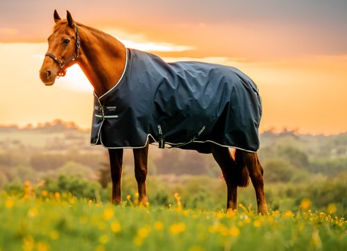Amigo Ripstop 900 Fleece Lined Original 50g - Witney Navy