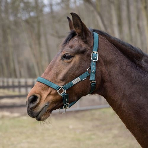 Lettia EquiFine Halter - Black Forest