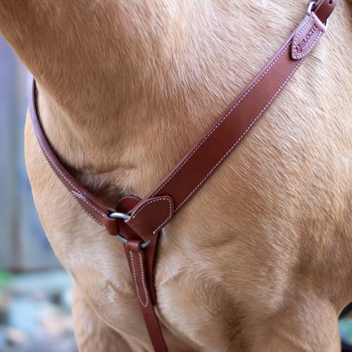 Shires Velociti Shaped Breastcollar - Light Oil