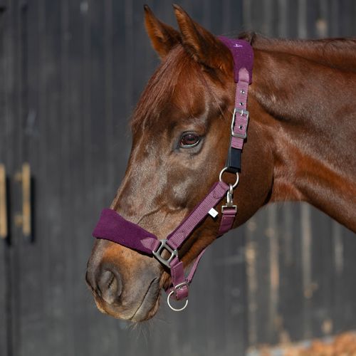 Equinavia Saga Fleece Padded Breakaway Halter - Orchid Haze/Plum Wine