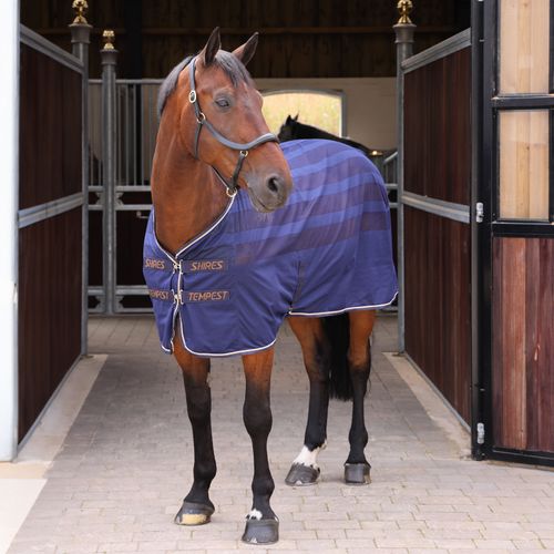 OPENBOX: Shires Tempest Original Scrim Cooler - 66 - Ink