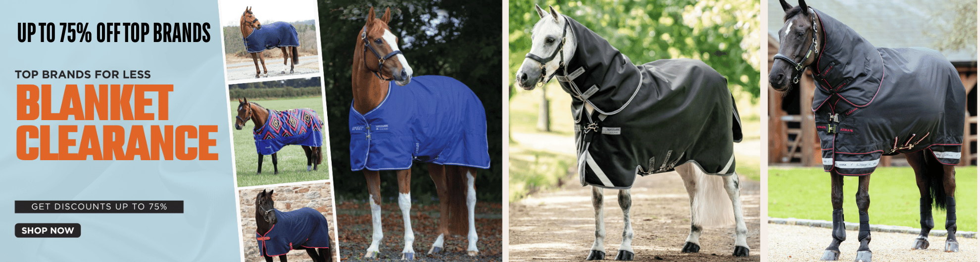 Winter Blanket Sale