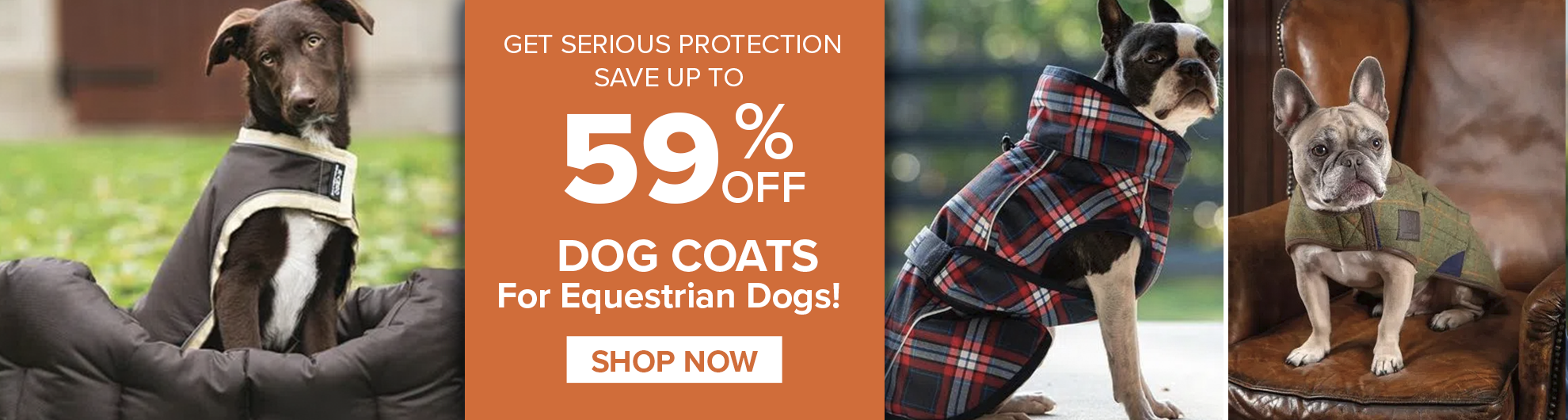 Shop for Discounted Dog Coats
