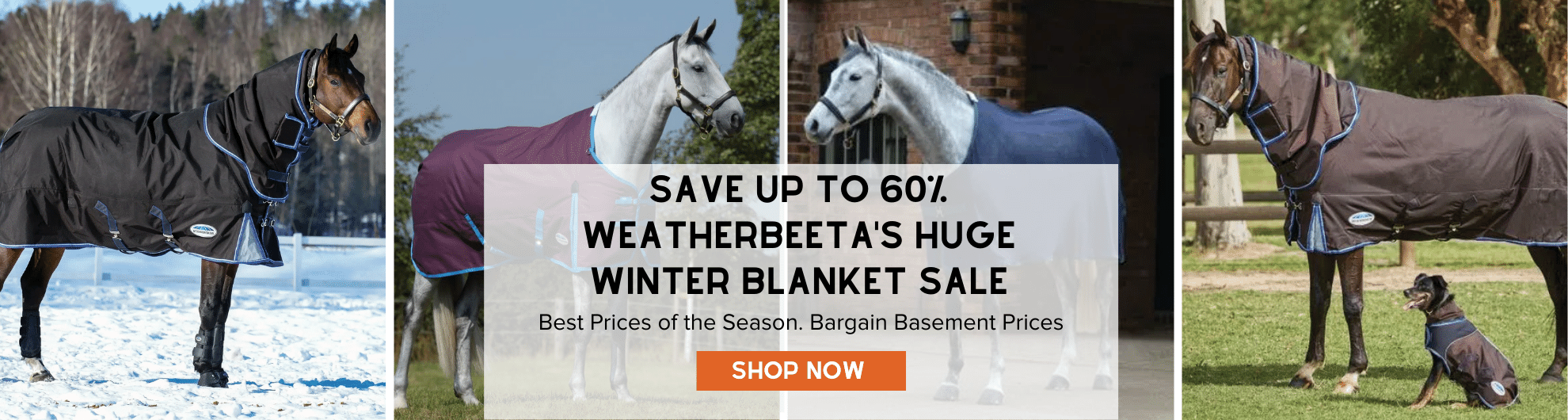 Shop the New Weatherbeeta Winter Collection