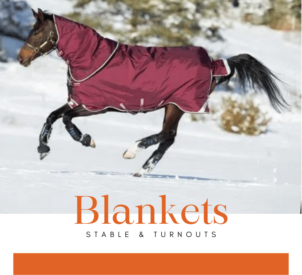 1200D Turnout Horse Sheet Light Winter Blanket Burgundy 355 