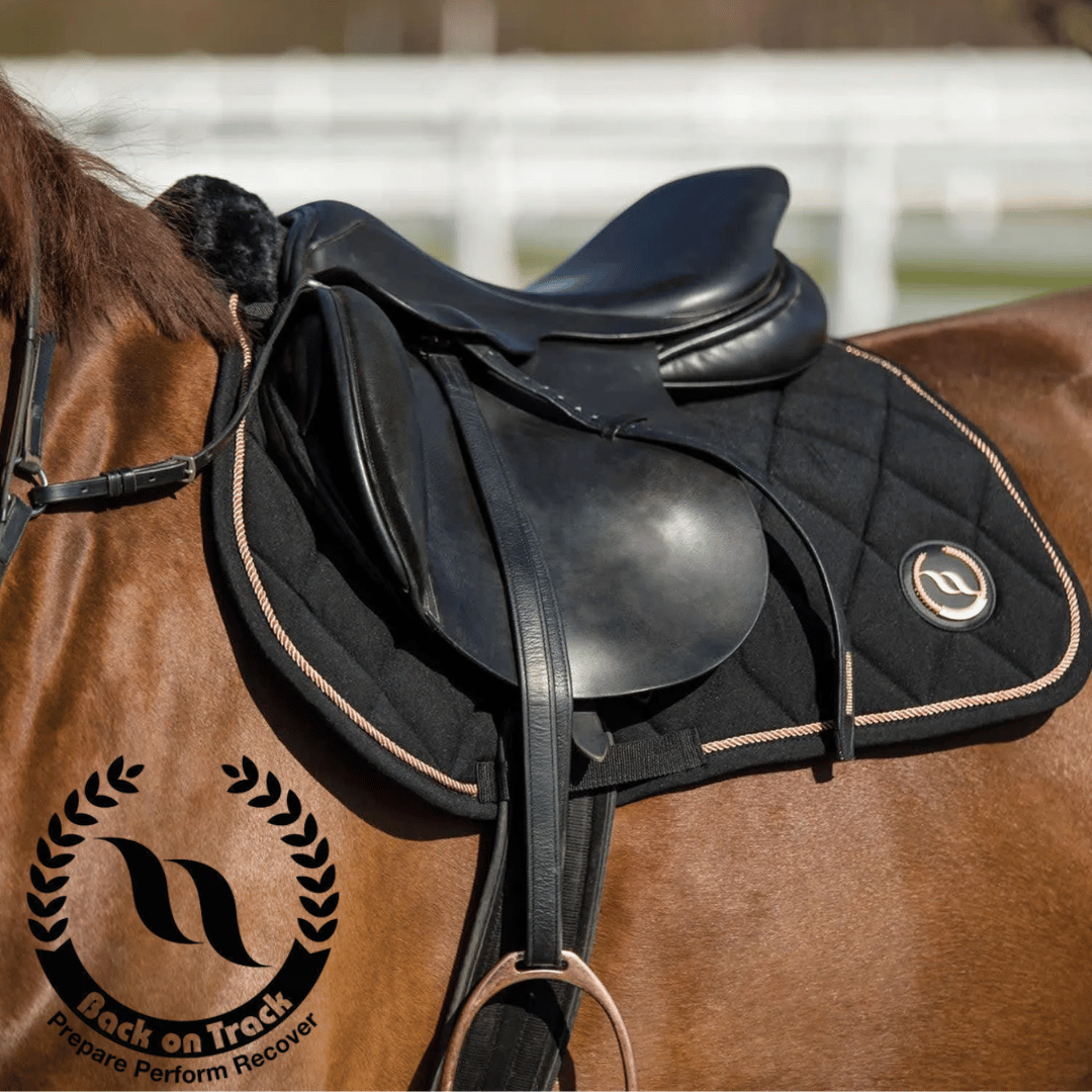 Back on Track Saddle Pads
